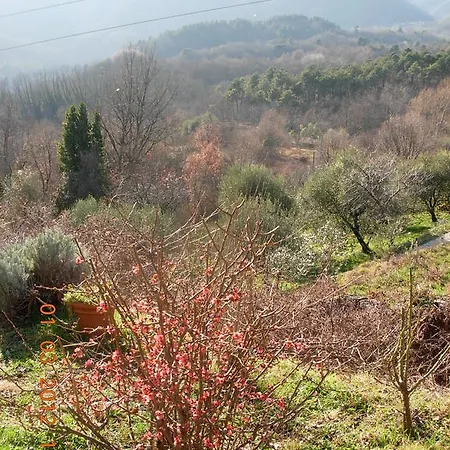 Il Montale Farm stay *