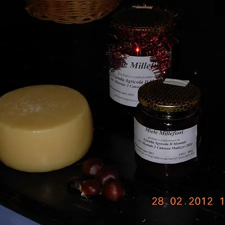 Farm stay Il Montale