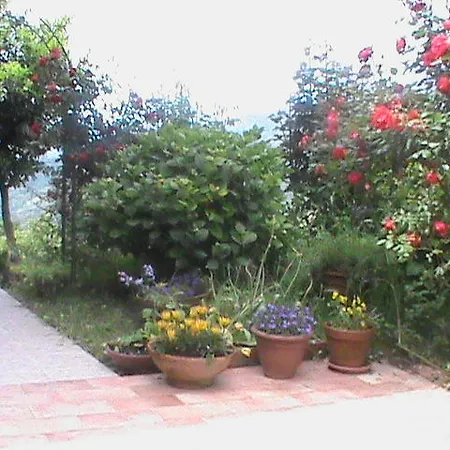 Il Montale Farm stay