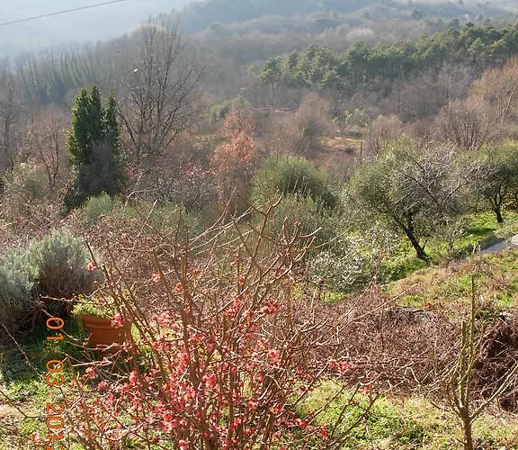 Il Montale Bauernhof *